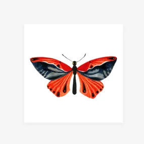 Butterfly: Beauty / Art Print